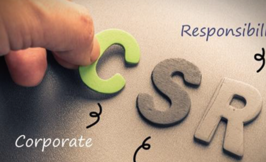 企業社會責任咨詢